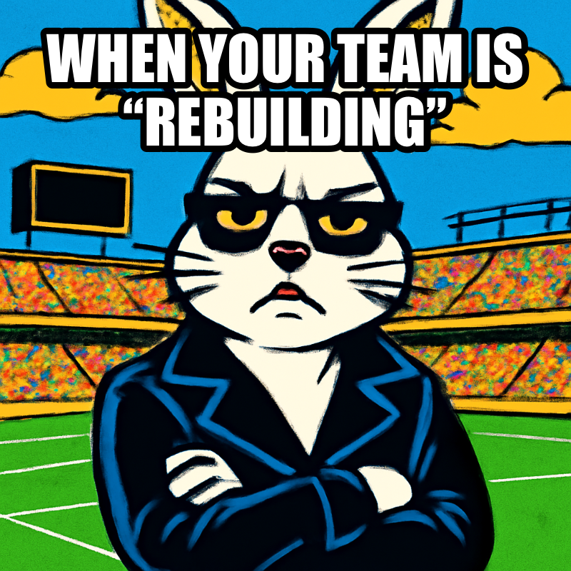 When Your Team Is Rebuilding meme