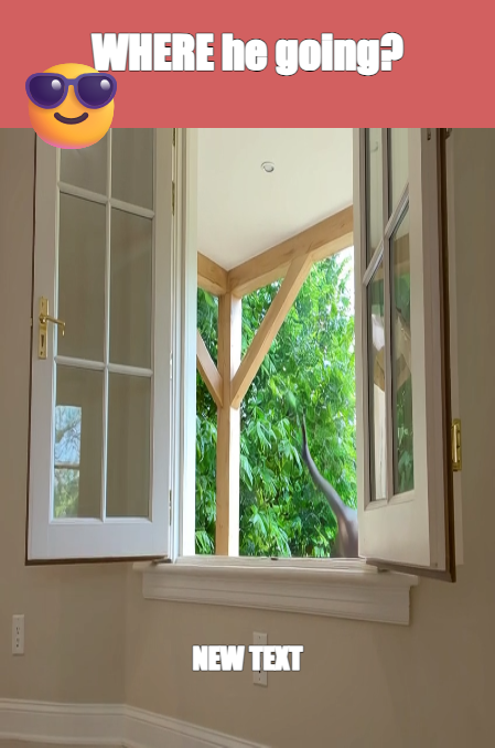 WHERE he going? | NEW TEXT meme