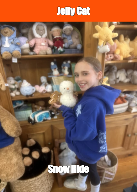 Jelly Cat | Snow Ride meme