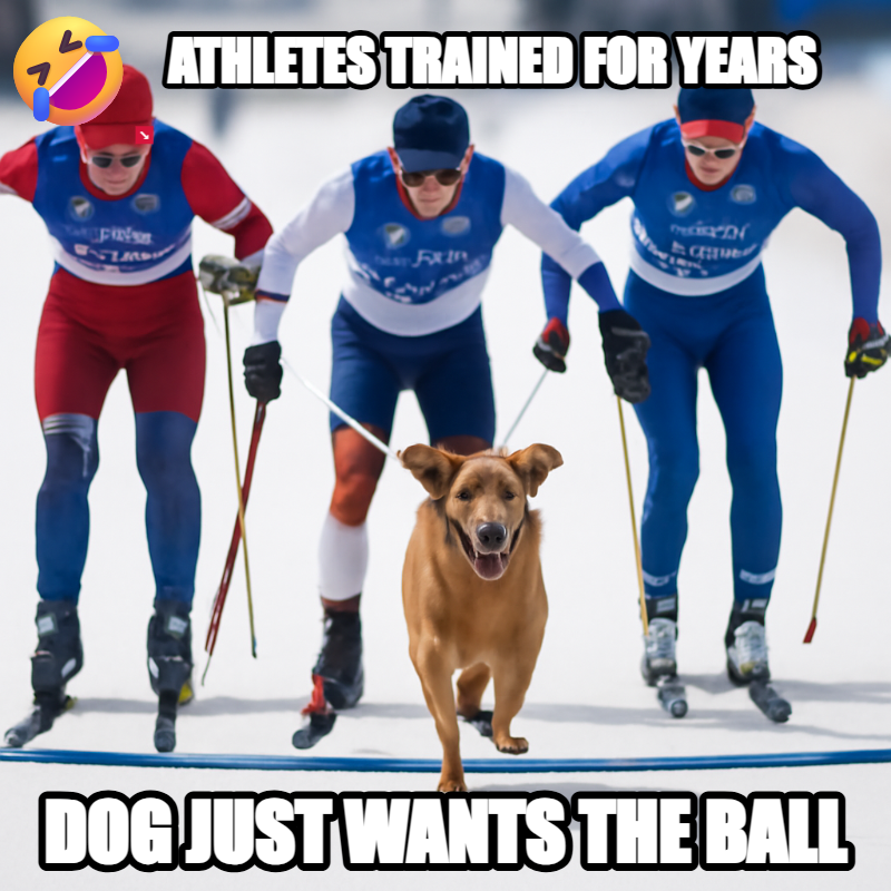 Athletes Trained For Years / Dog Just Wants The Ball meme