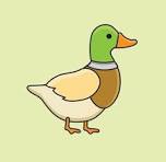 Chris Waters profile picture