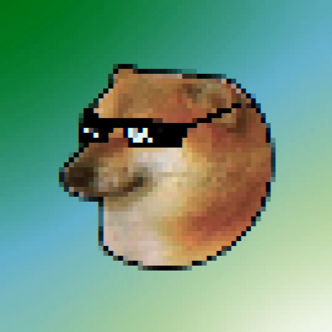 Nft Blocky bonk 13