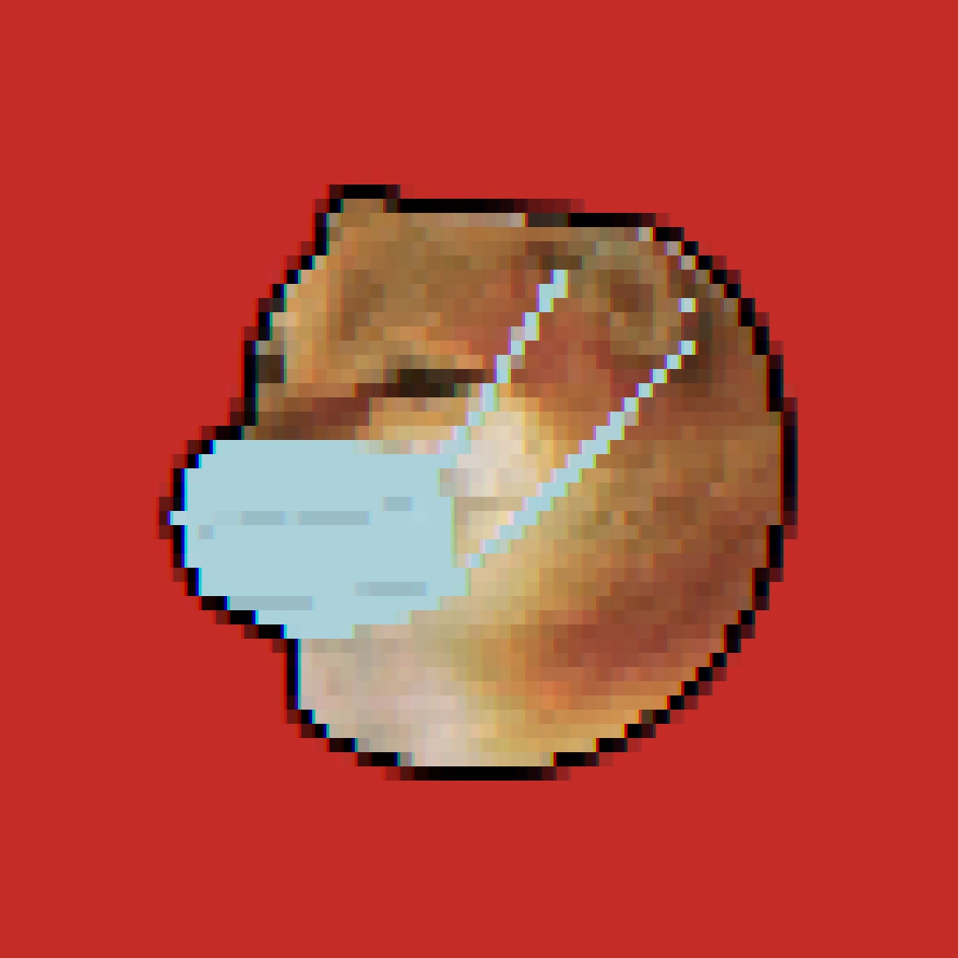 Nft Blocky bonk 16