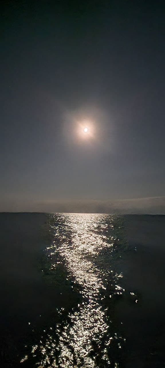 Nft Road to the Moon