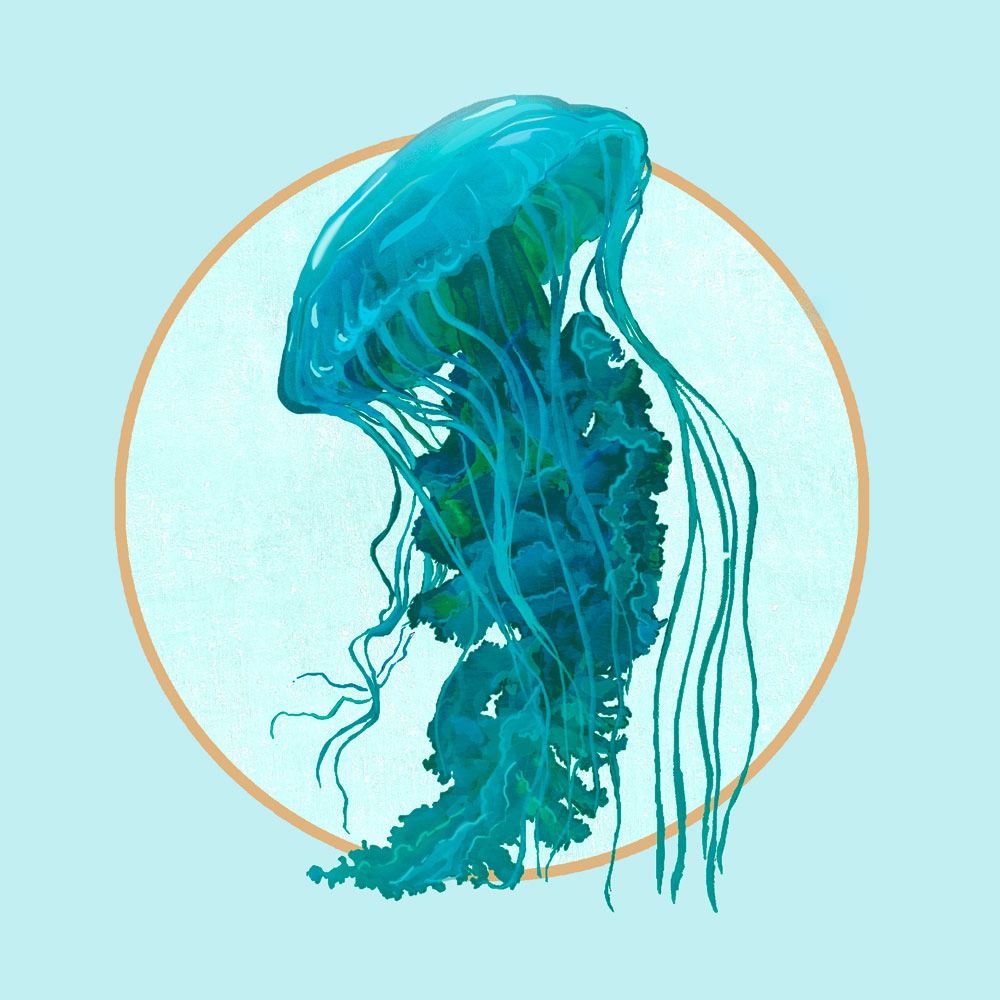 Nft LightSeaGreen jellyfish
