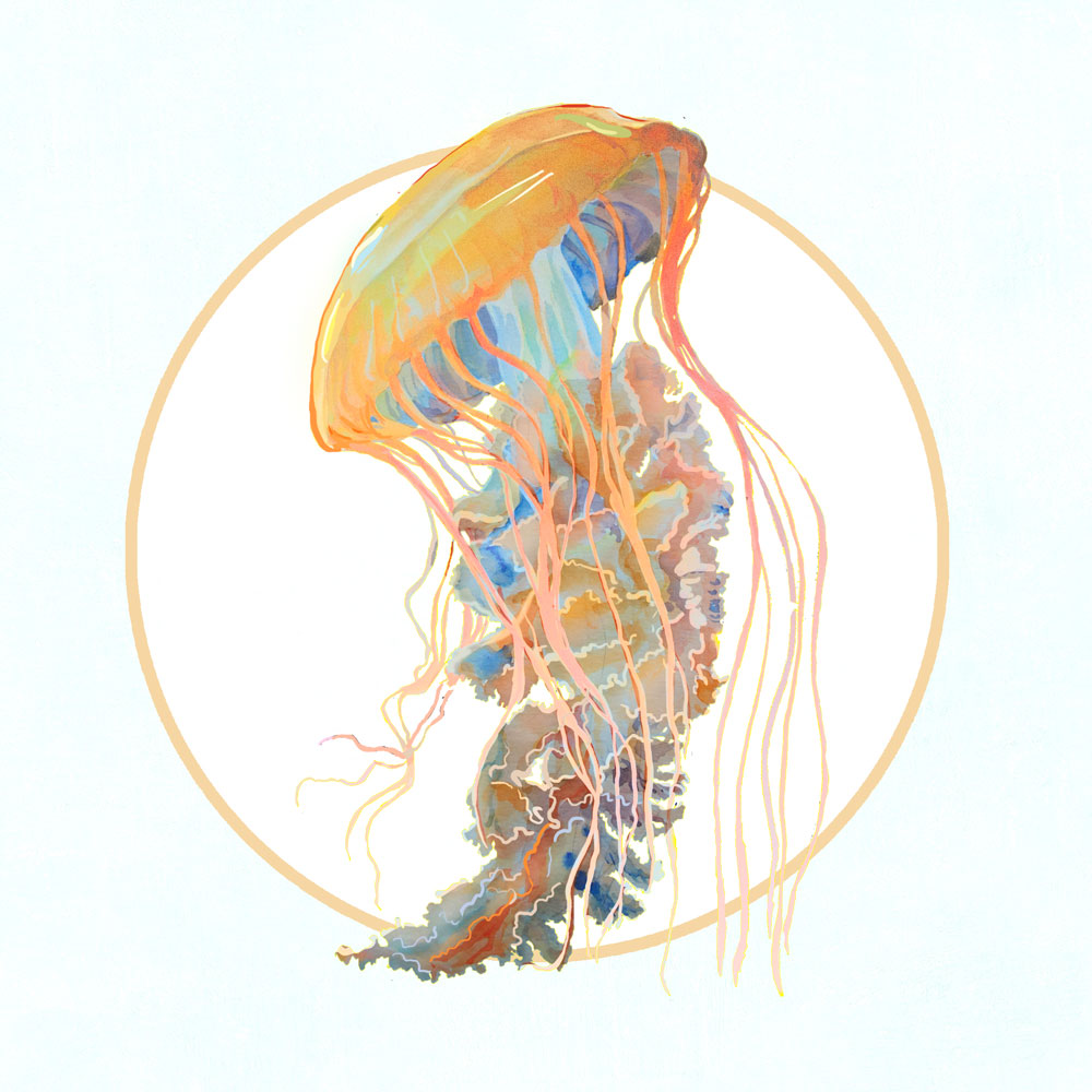Nft Orange jellyfish