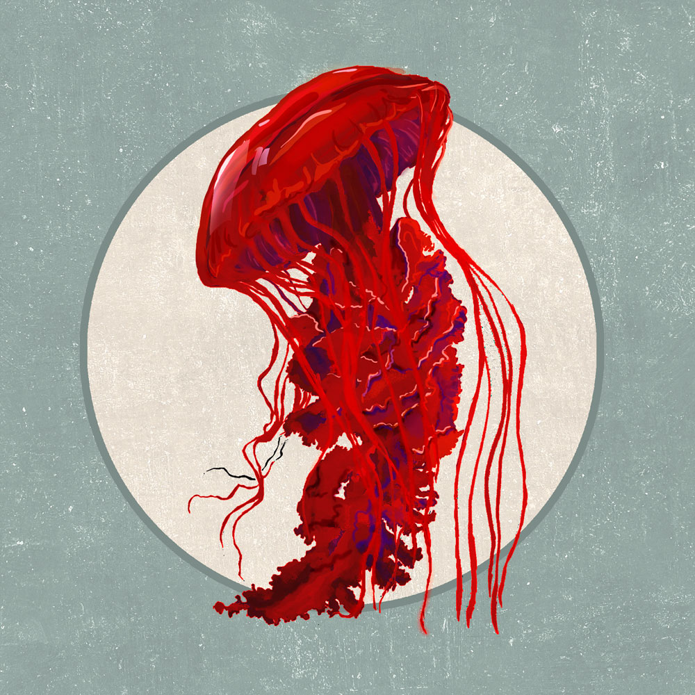 Nft Red jellyfish