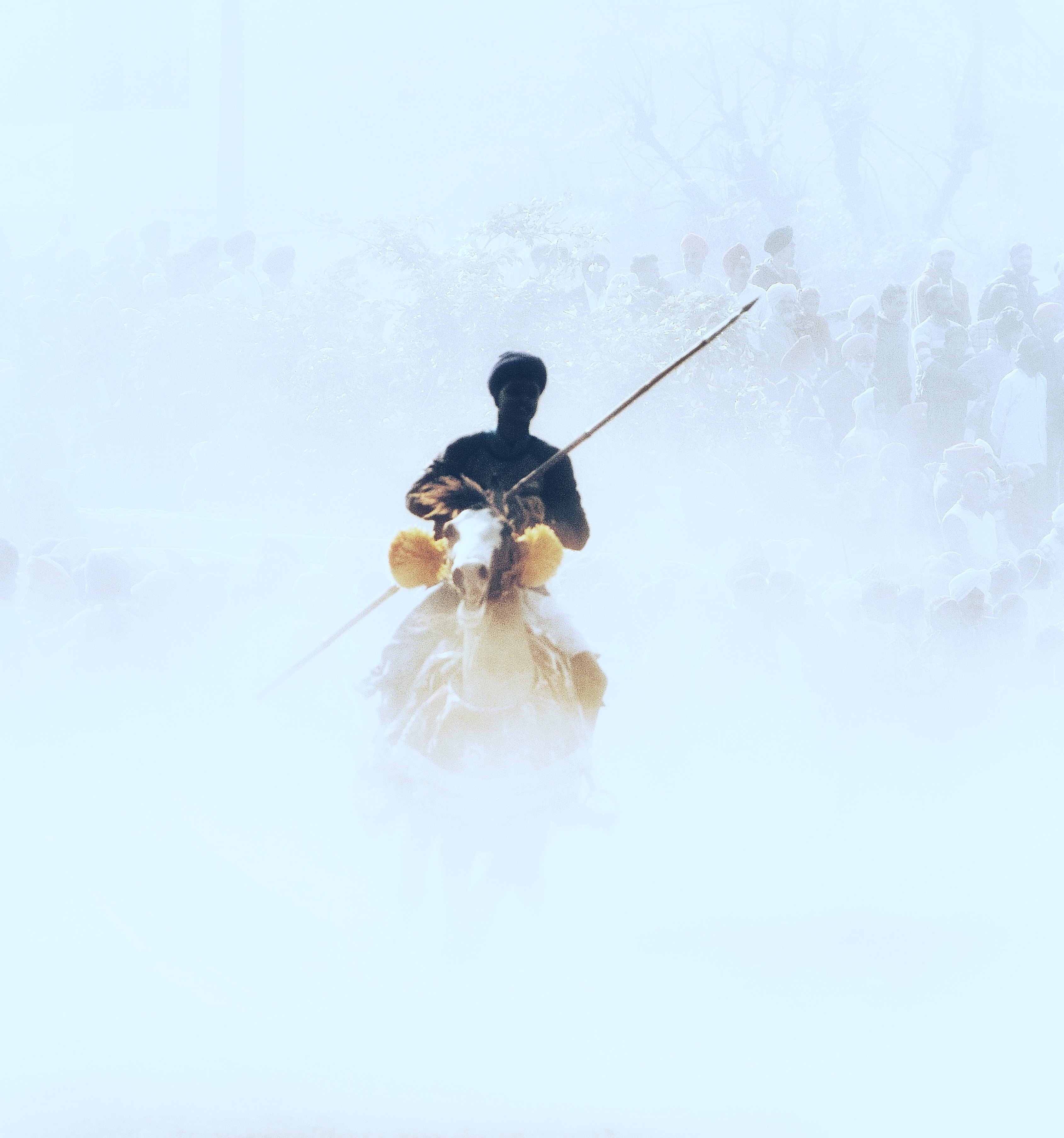 Nft The sikh warrior 