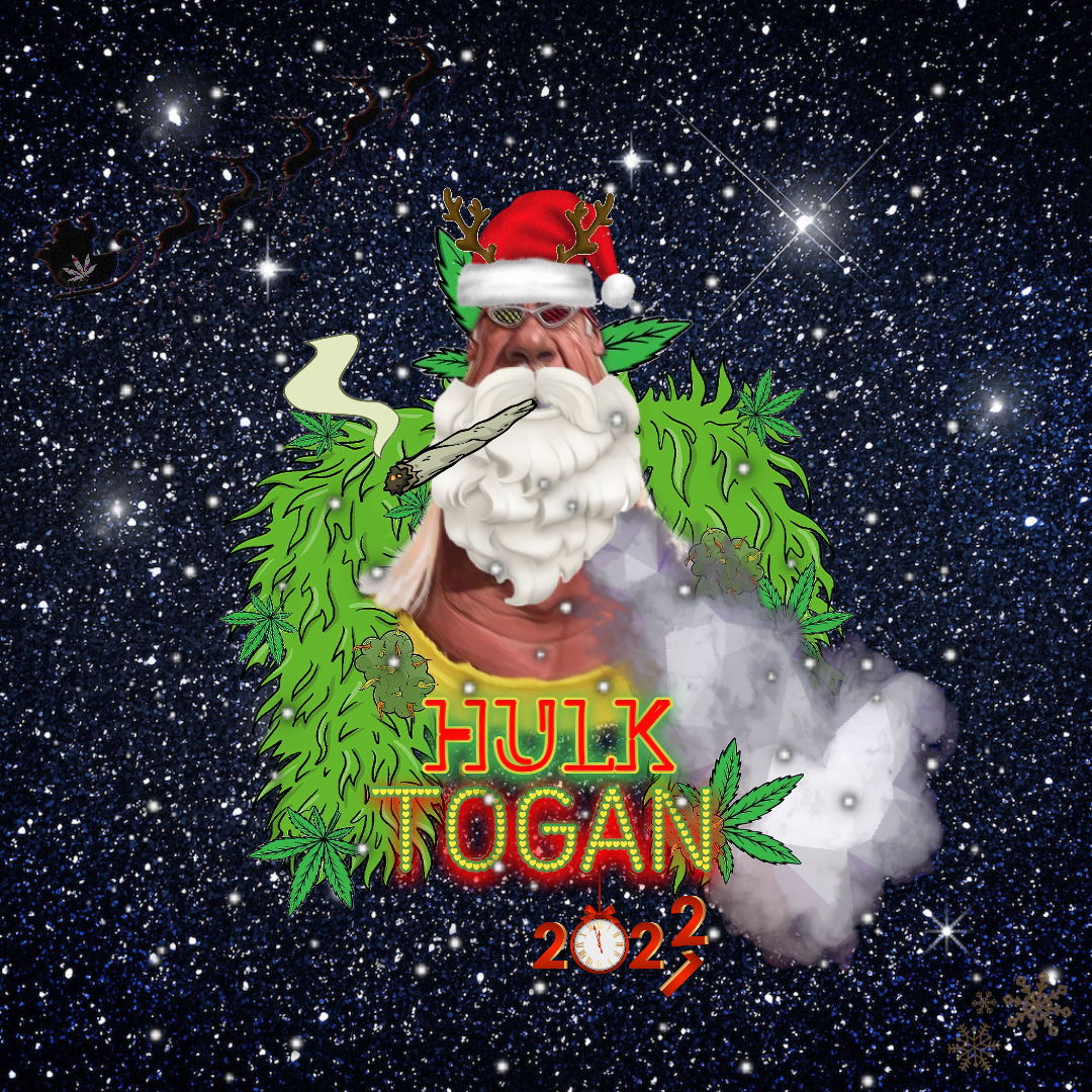Nft TOGAN HOLIDAY #1