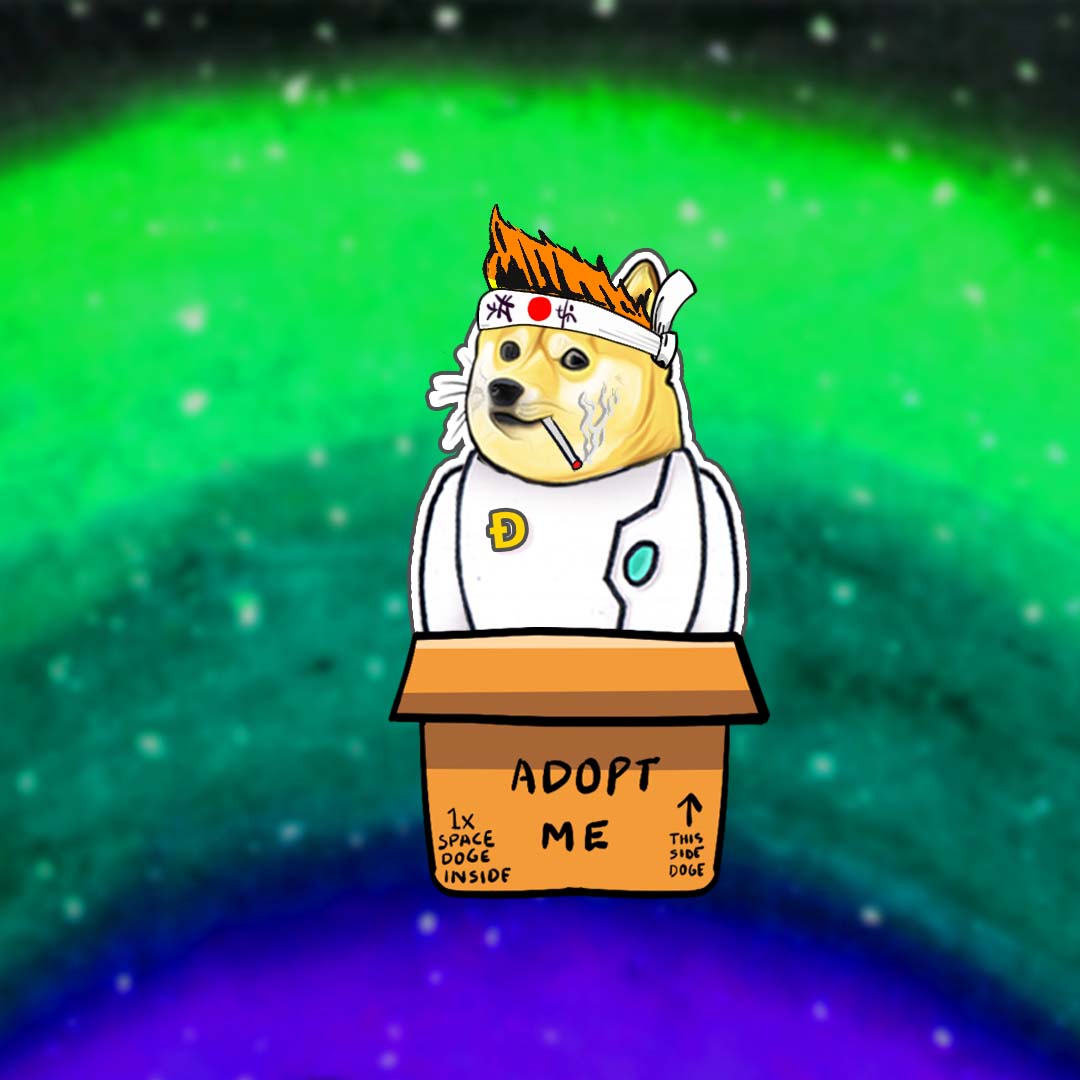 Nft Space Doge #49