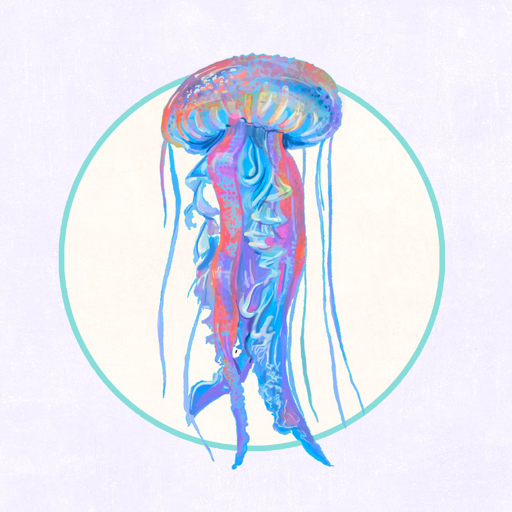 Nft Blue-pink jellyfish