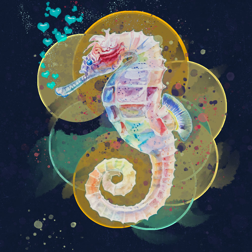 Nft Jellyfish SEAHORSE 