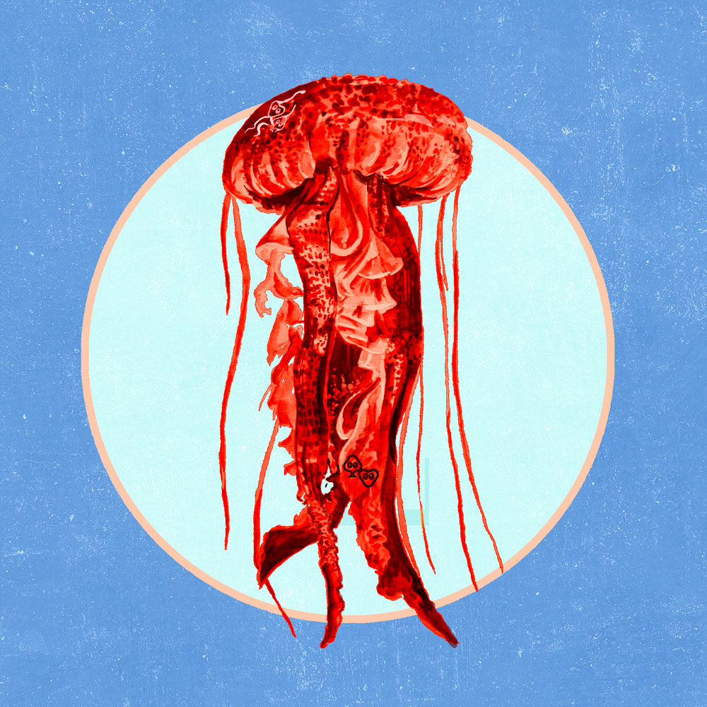 Nft Red-black jellyfish