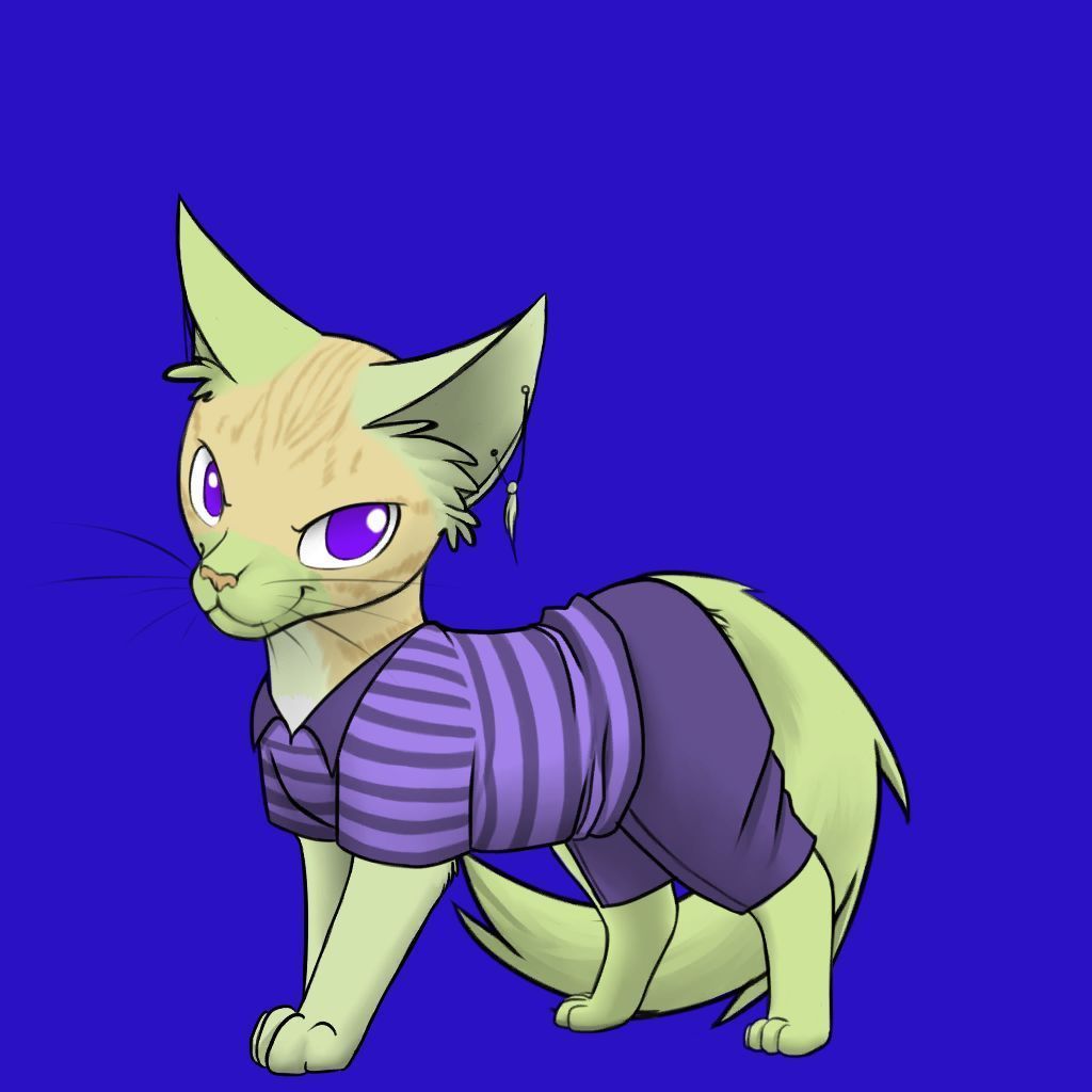 Nft Metacat #11