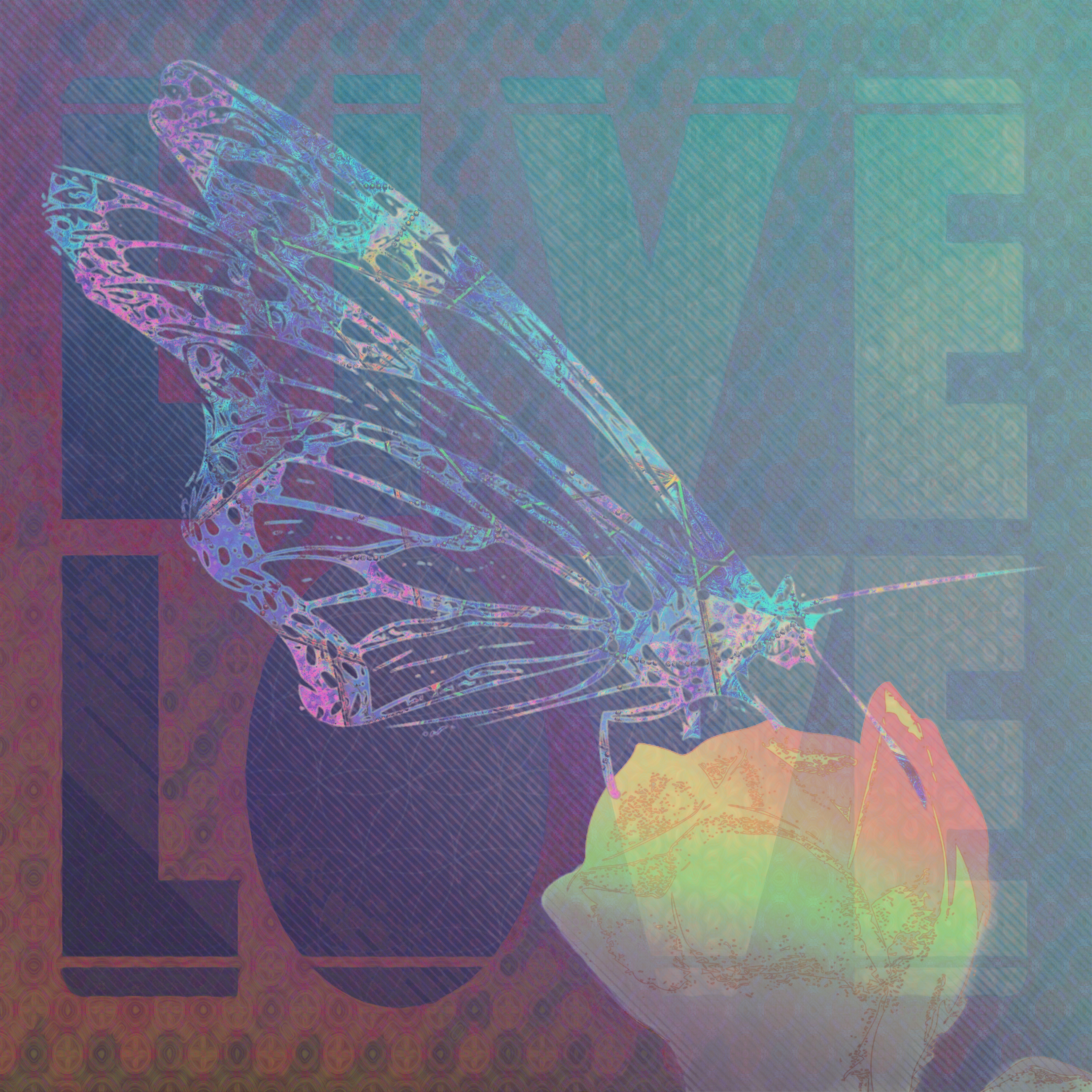 Nft Love Butterfly
