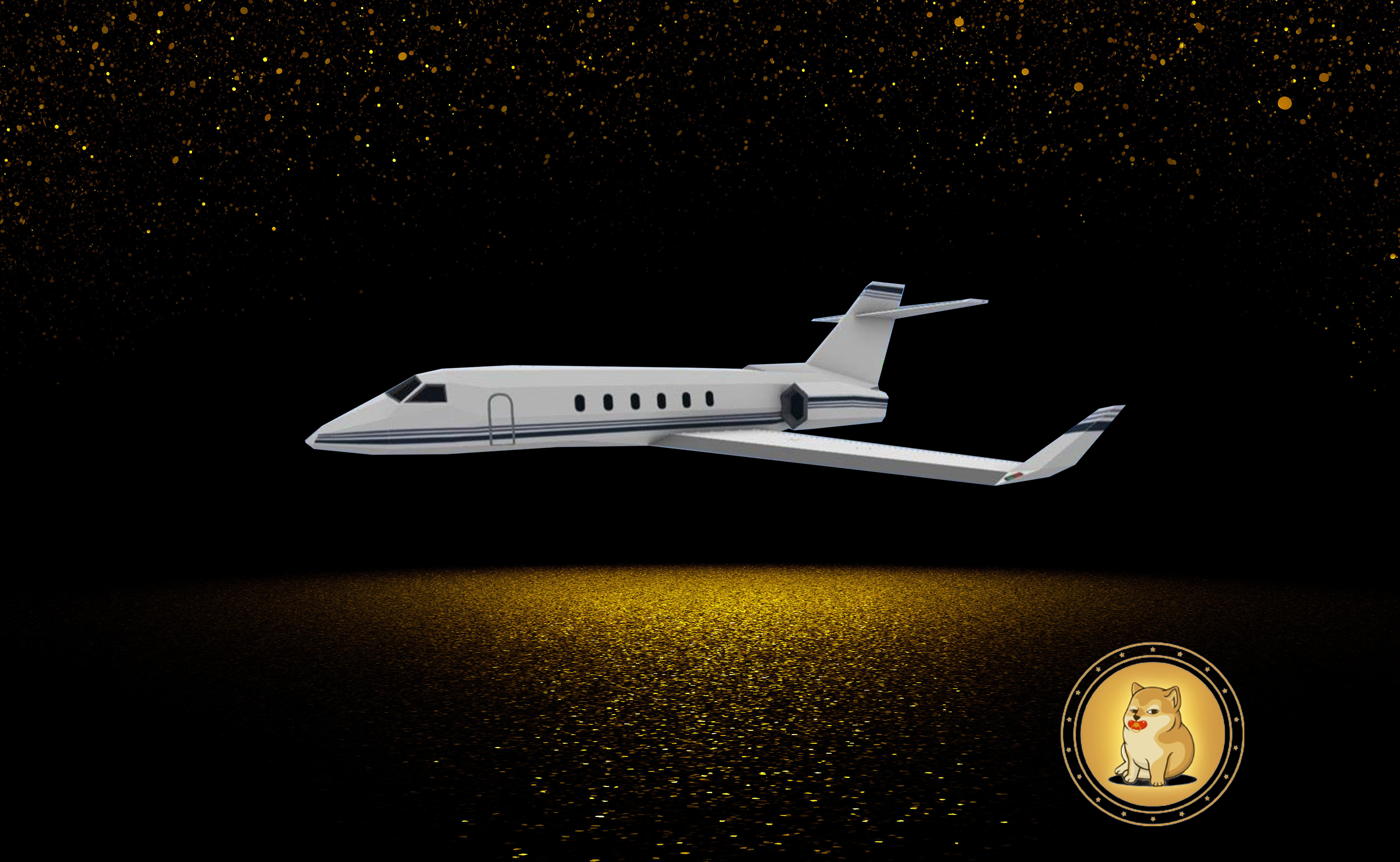 Nft Baby Cheems Private-Jet