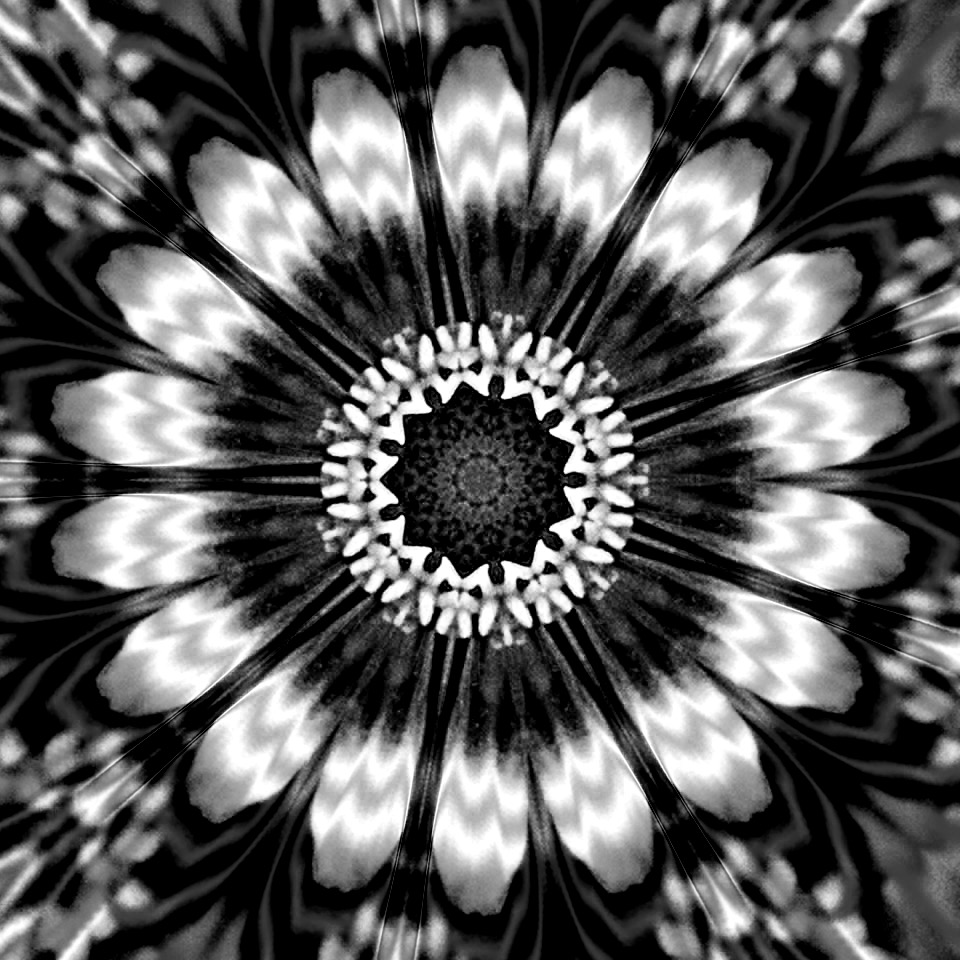 Nft Natures Mandalas #1