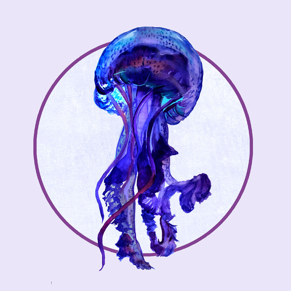 Nft Cool Navy jellyfish