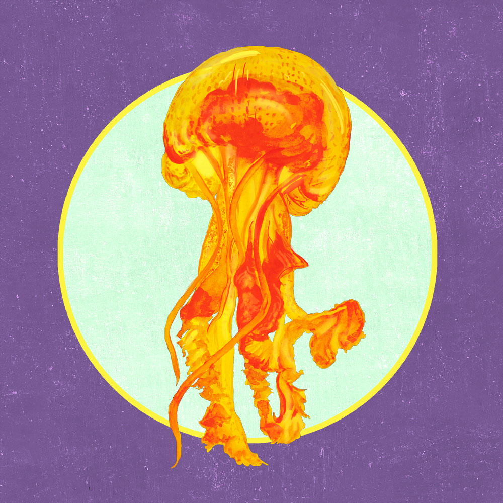 Nft Fiery jellyfish