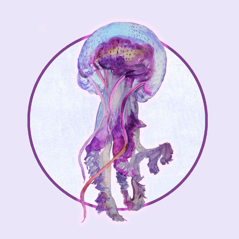 Nft Purple jellyfish