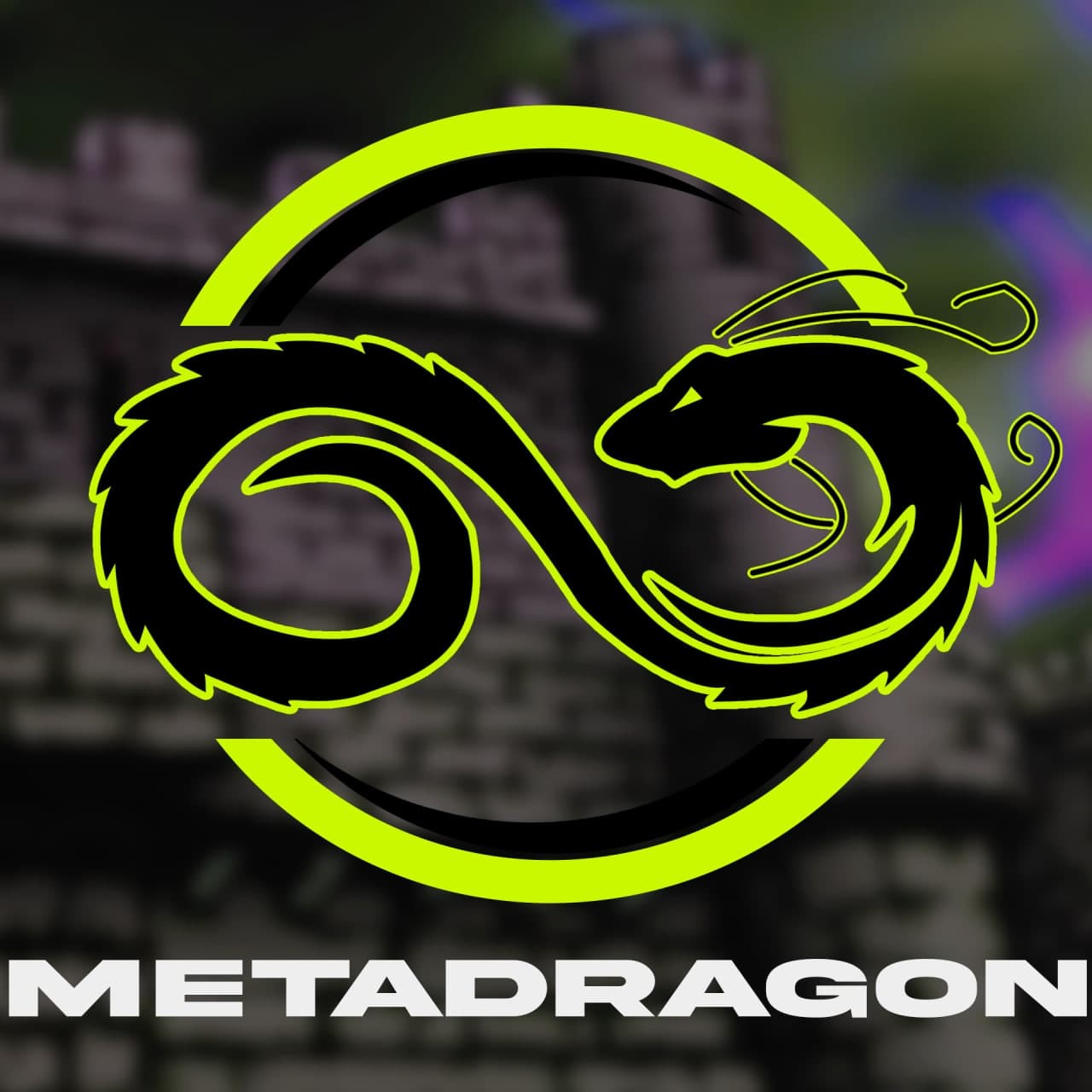 Nft MetaDragon2.0