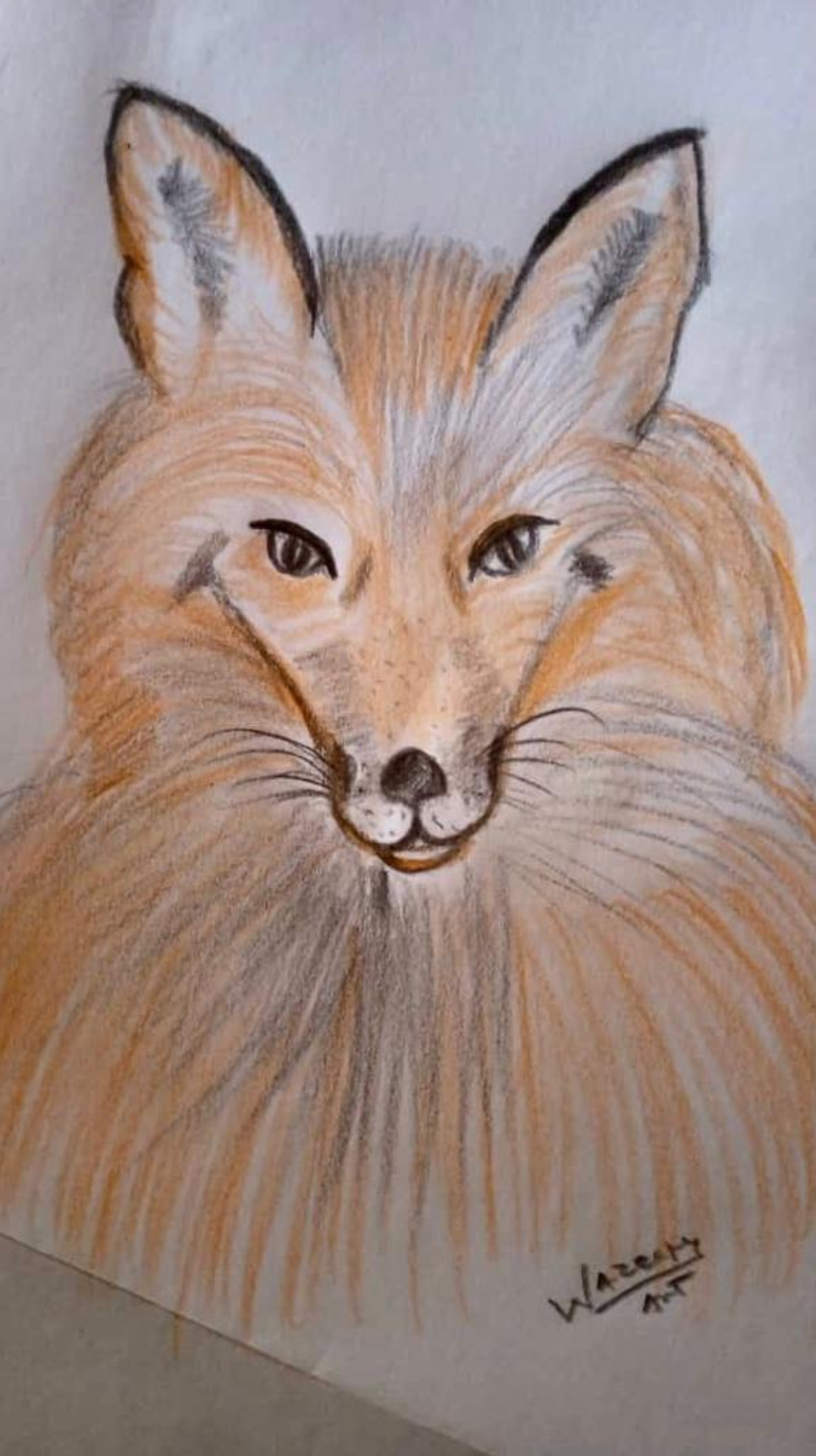 Nft MetaMask Sketch 