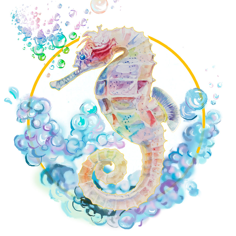 Nft SEAHORSE