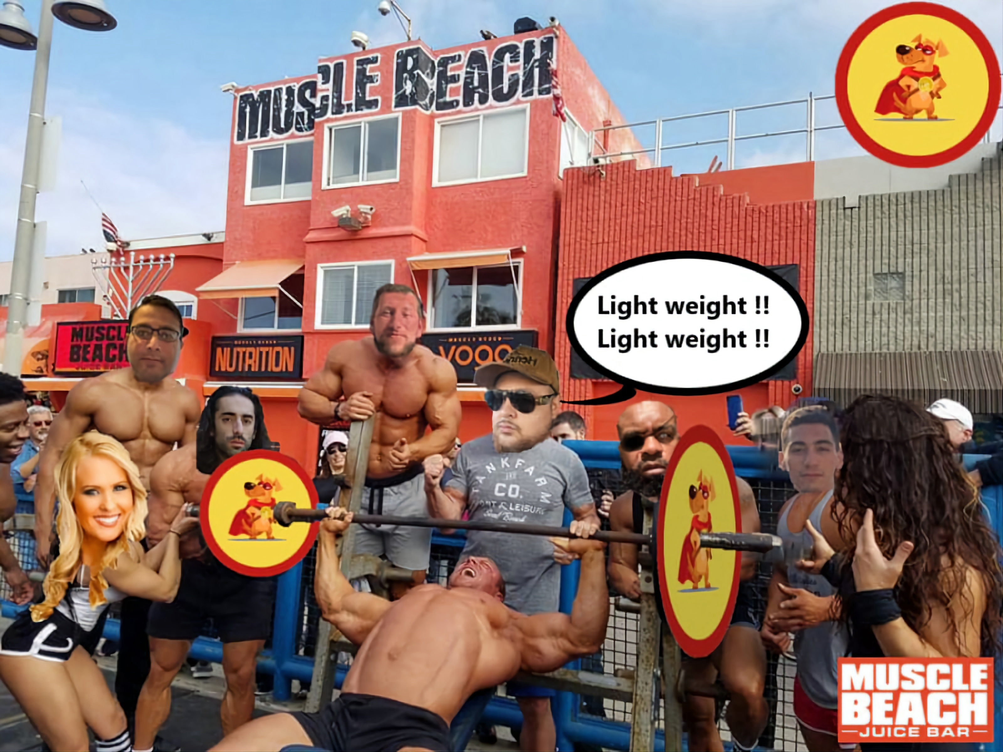 Nft DEFENDER OF DOGE GYM