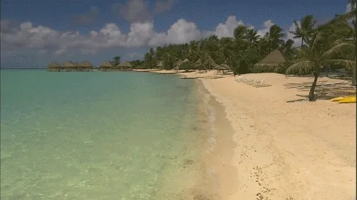 Nft Beachlife
