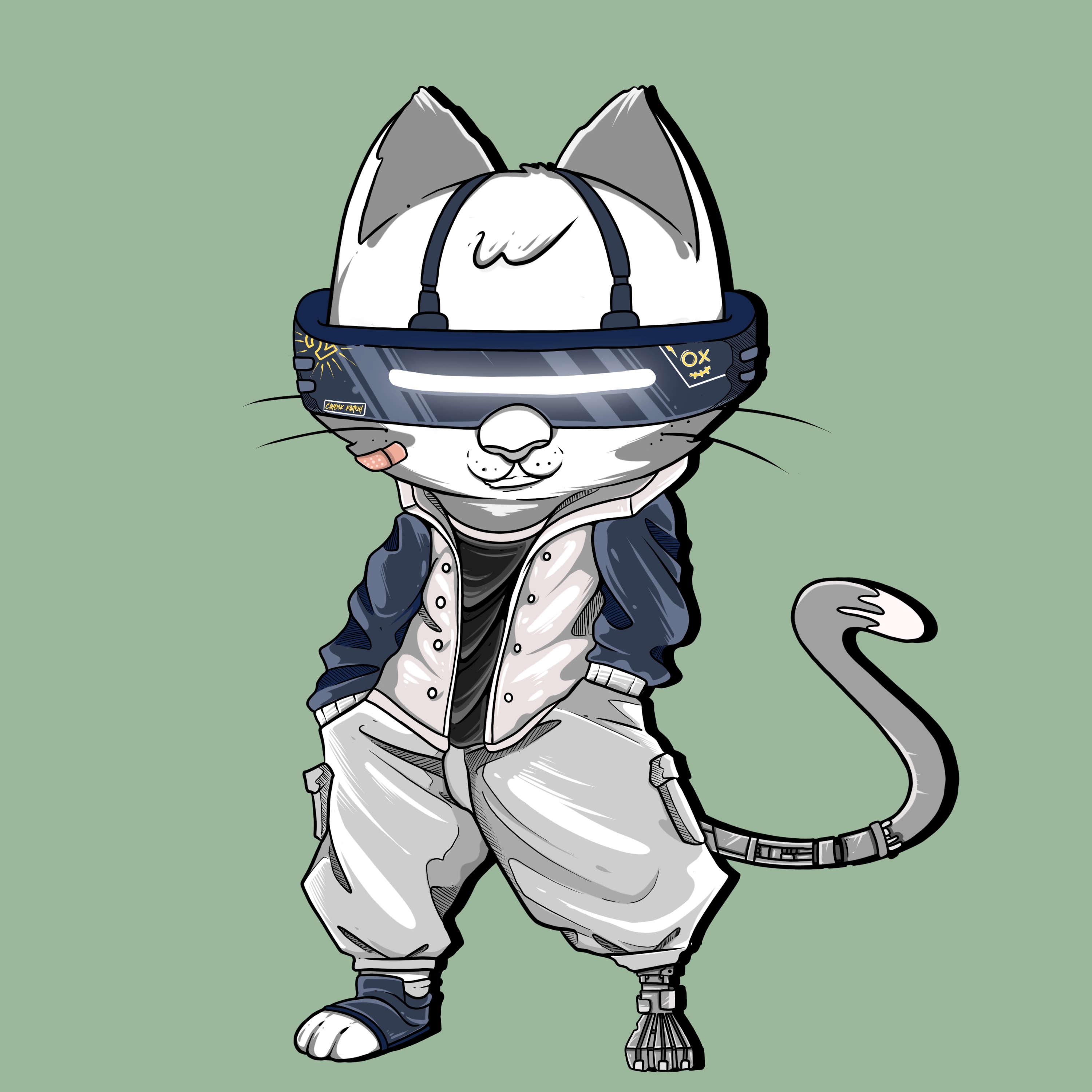 Nft Cat'erspunk verse#3