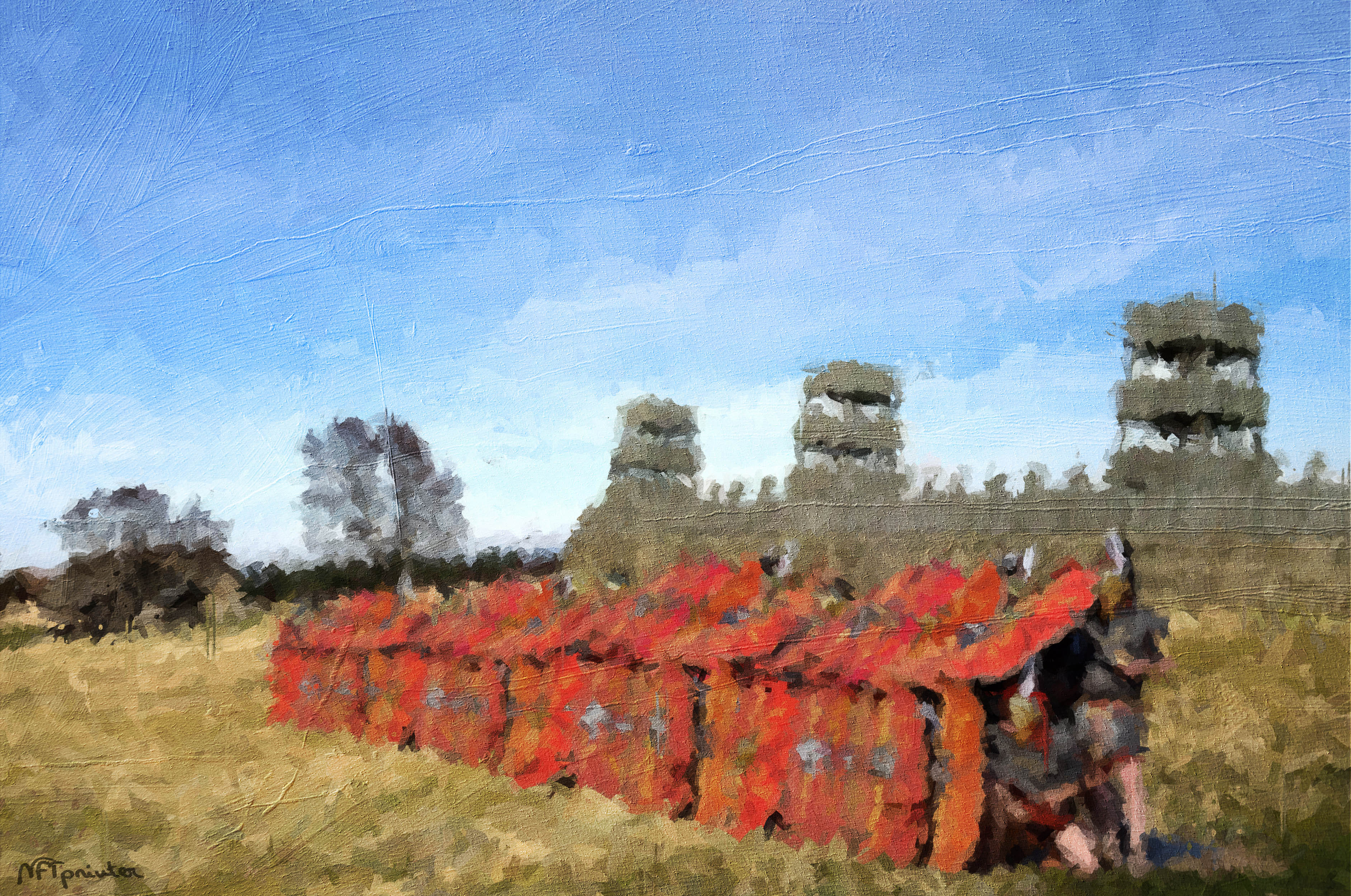 Nft Testudo Formation 3/3