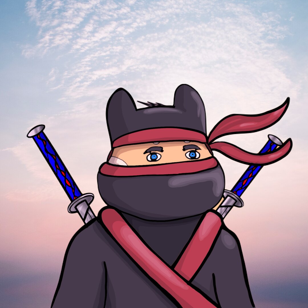 Nft Cool doge ninja