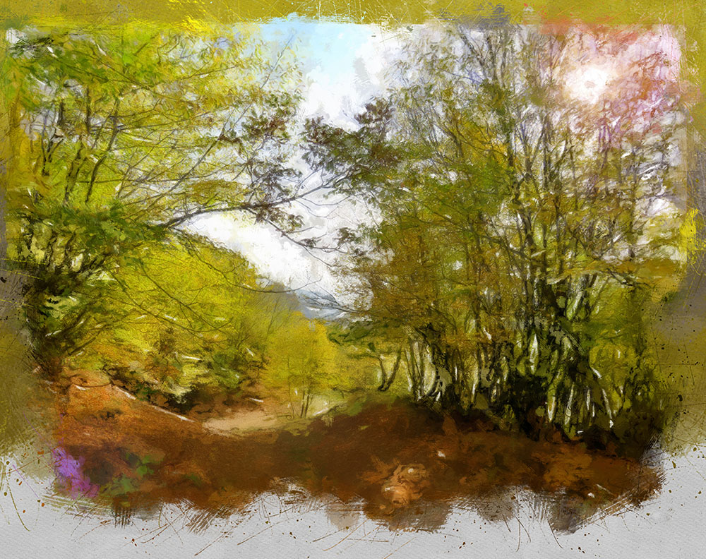 Nft autumn