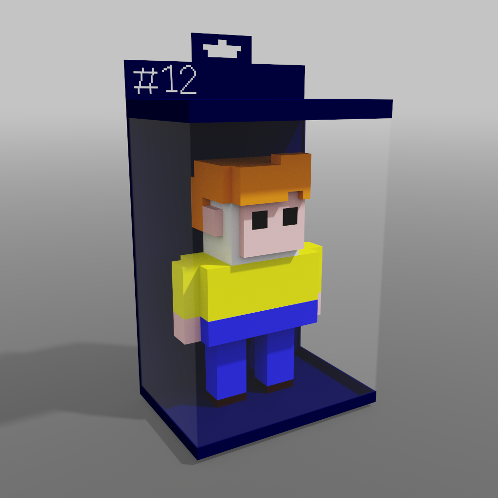 Nft Voxel Toy #12