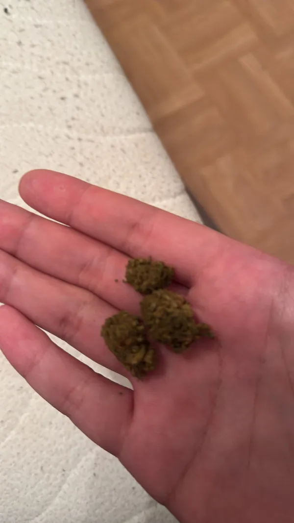 Kundenfoto zu Super Lemon Haze CBD Blüten mit 15 % CBD