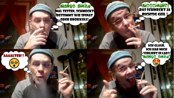 Kundenfoto zu Mango Smile Autoflower Cannabis Samen – 3 Stück