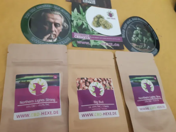 Kundenfoto zu Big Bud Autoflower Cannabissamen – 3 Stück
