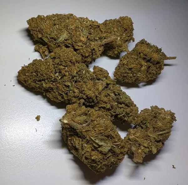 Kundenfoto zu Cannatonic Premium CBD Blüten mit 13 % CBD