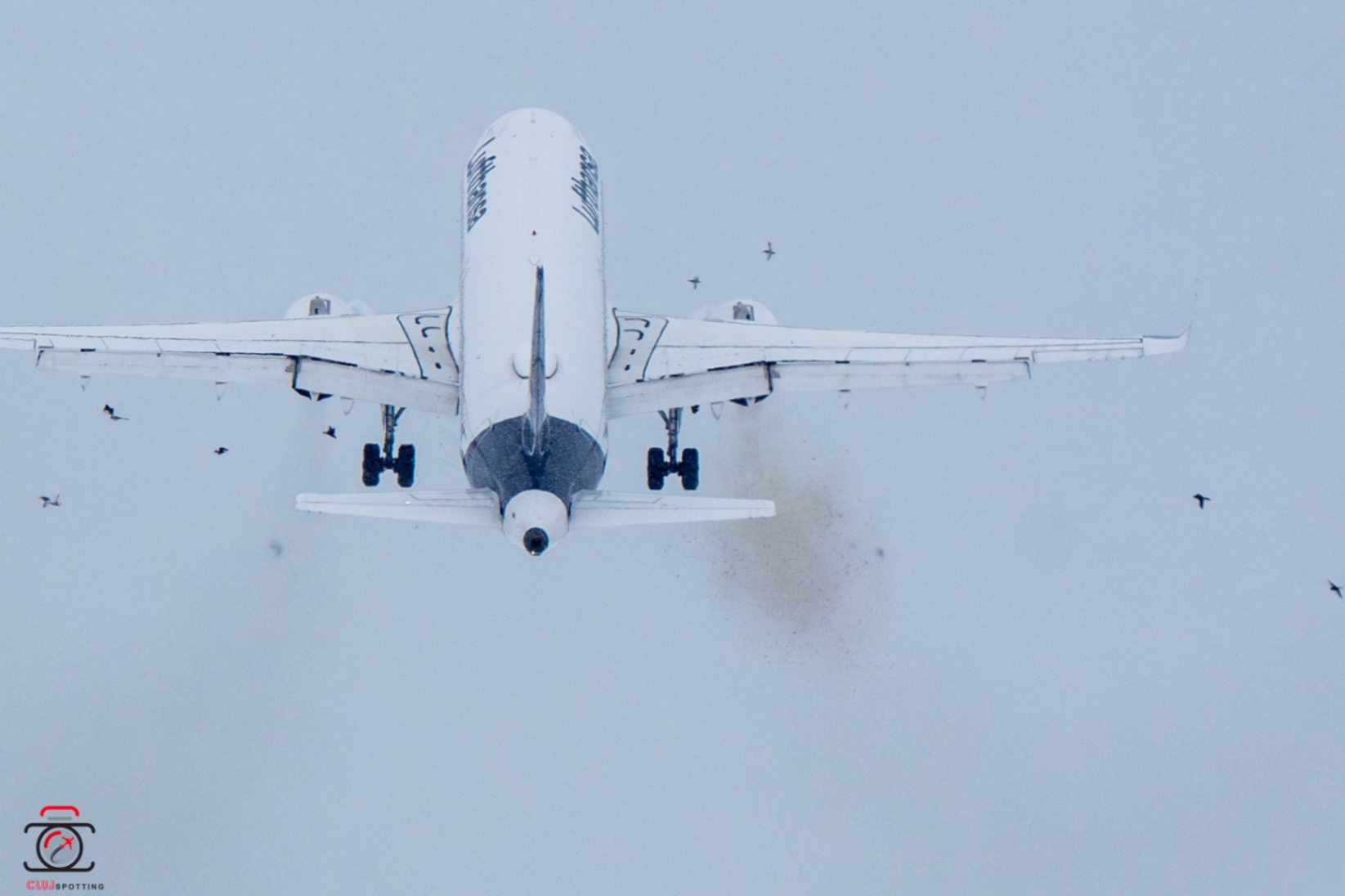 Lufthansa Airbus A320 Kuş Sürüsüne Çarptı: Budapeşte'ye Acil İniş