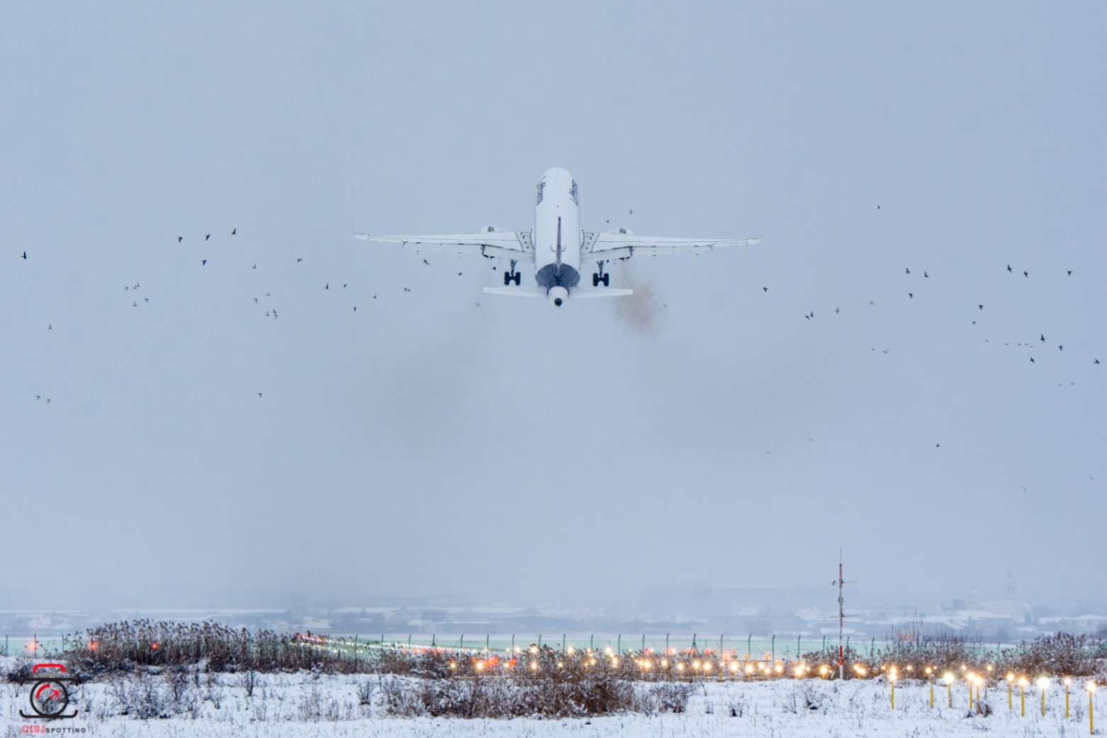 Lufthansa Airbus A320 Kuş Sürüsüne Çarptı: Budapeşte'ye Acil İniş