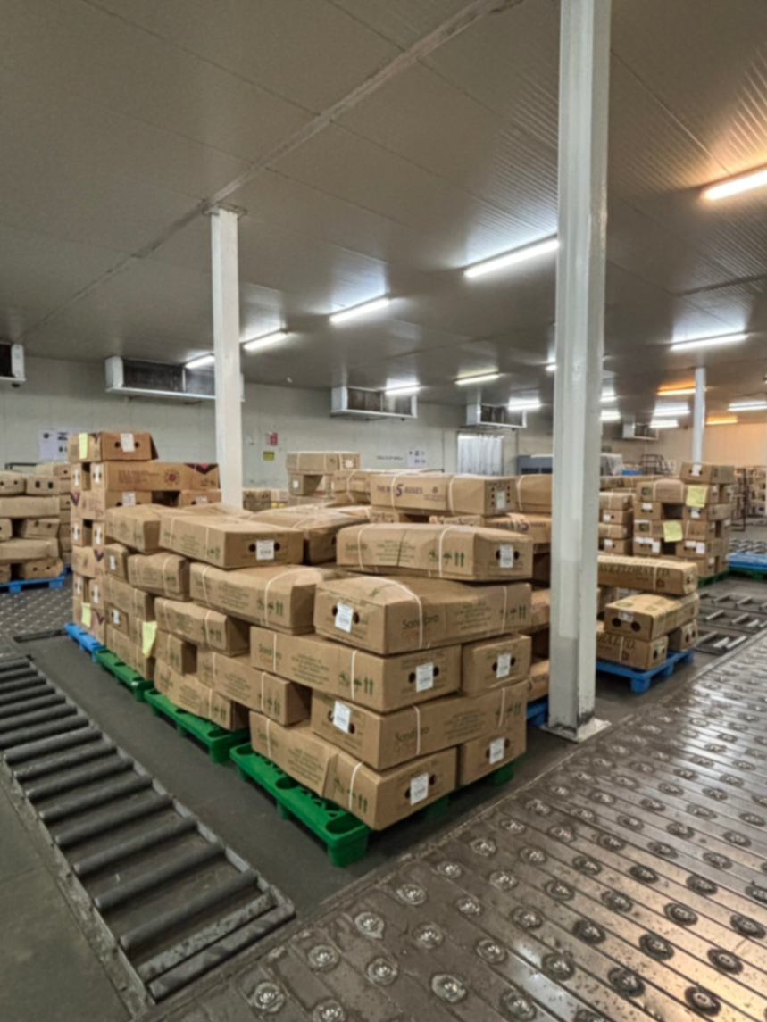 Kenya Airways: Krizden Büyümeye Dev Dönüşüm Yolculuğu