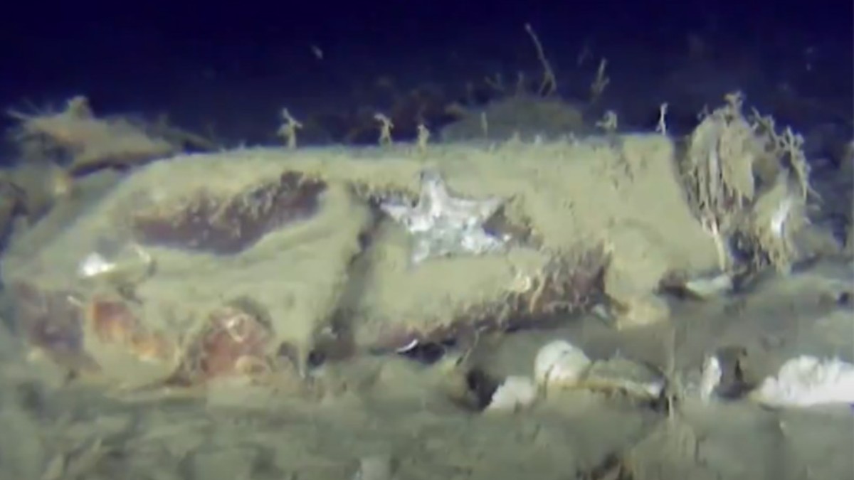 51 Yıllık Sır Perdesi Aralanıyor: THY Uçağının Enkazına Yeni İzler - Türk Hava Yolları Haberi