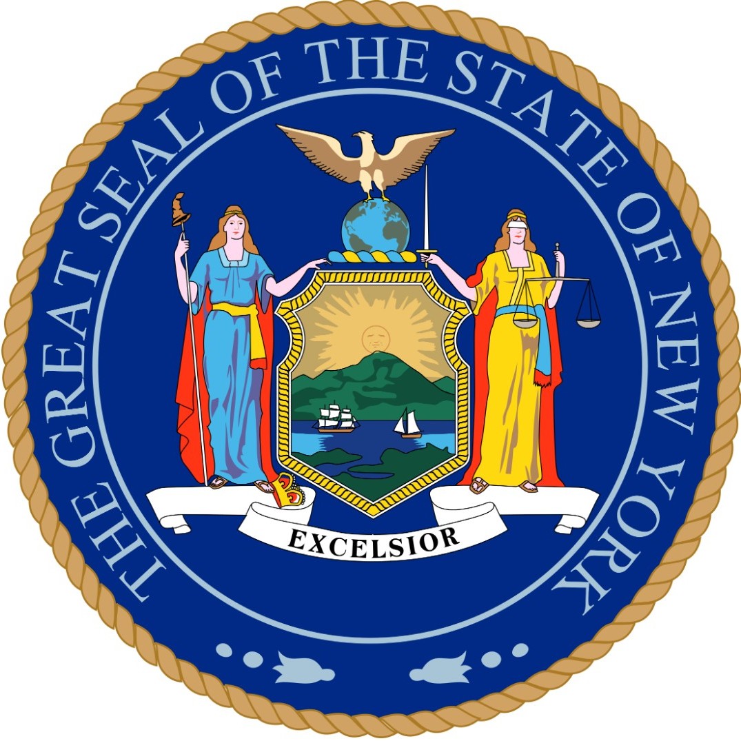 New York State Medical License