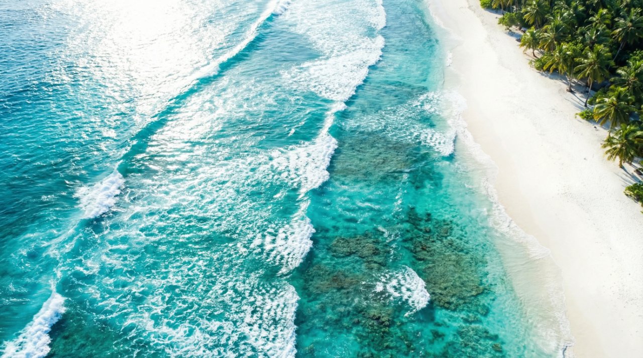 ドローン視点の海と砂浜