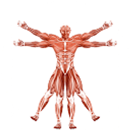 Dr. Muscle AI Fitness logo