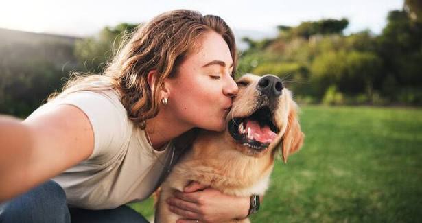 Pet owner affectionally hugging and kissing a happy golden retriever