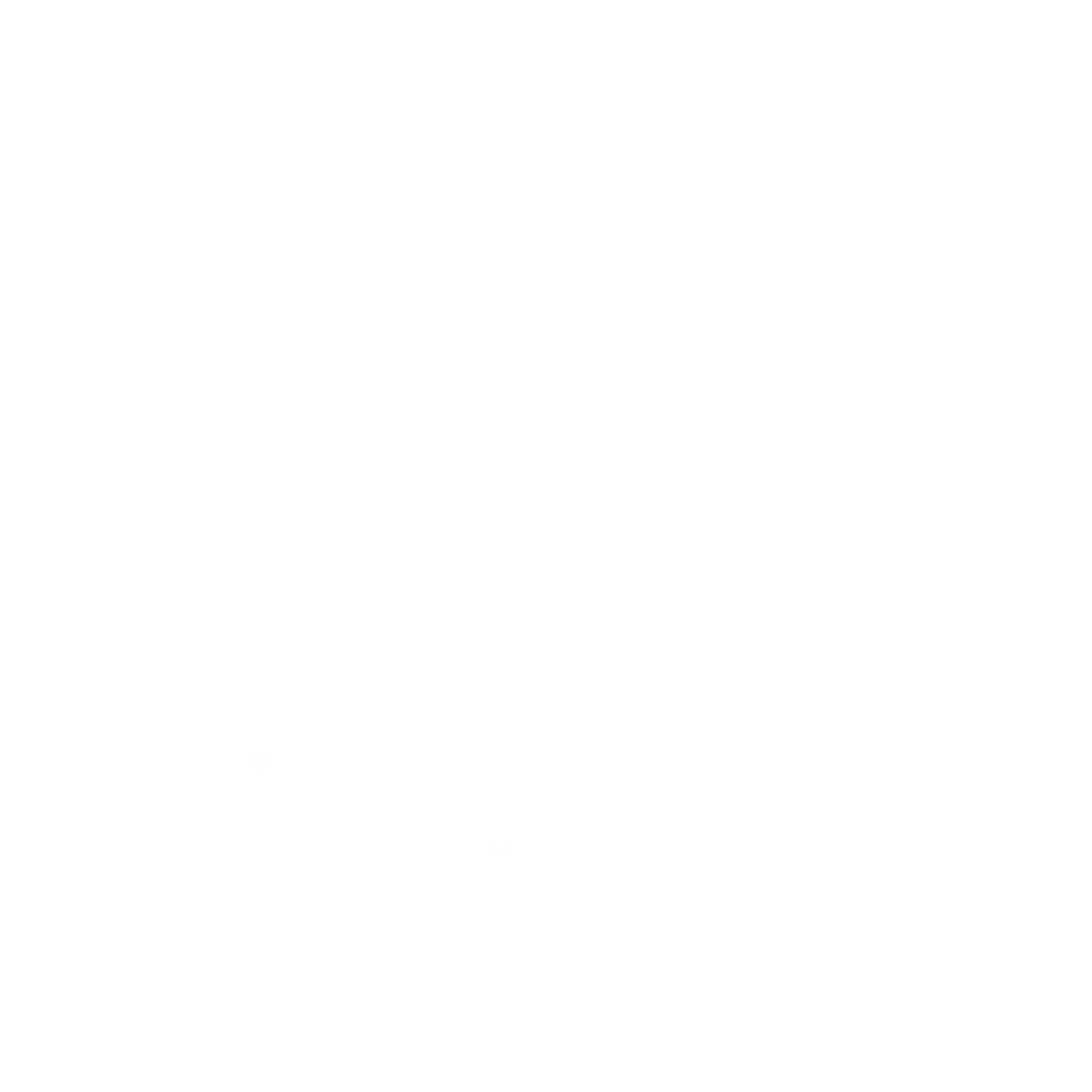 BrushByVee