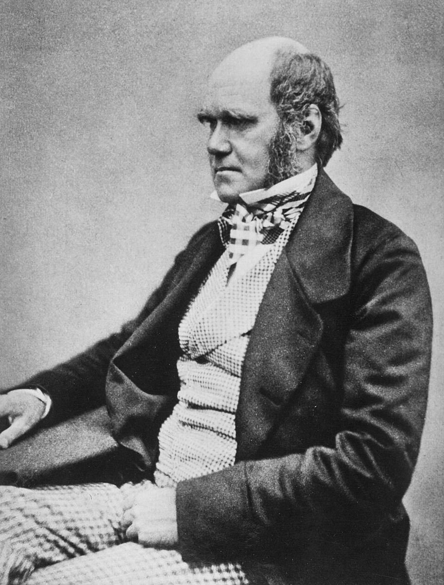 Historical portrait of Charles Darwin.