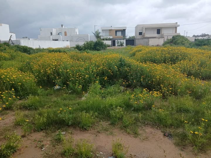 أرض للبيع في الحمامات الغربية، الحمامات، نابل