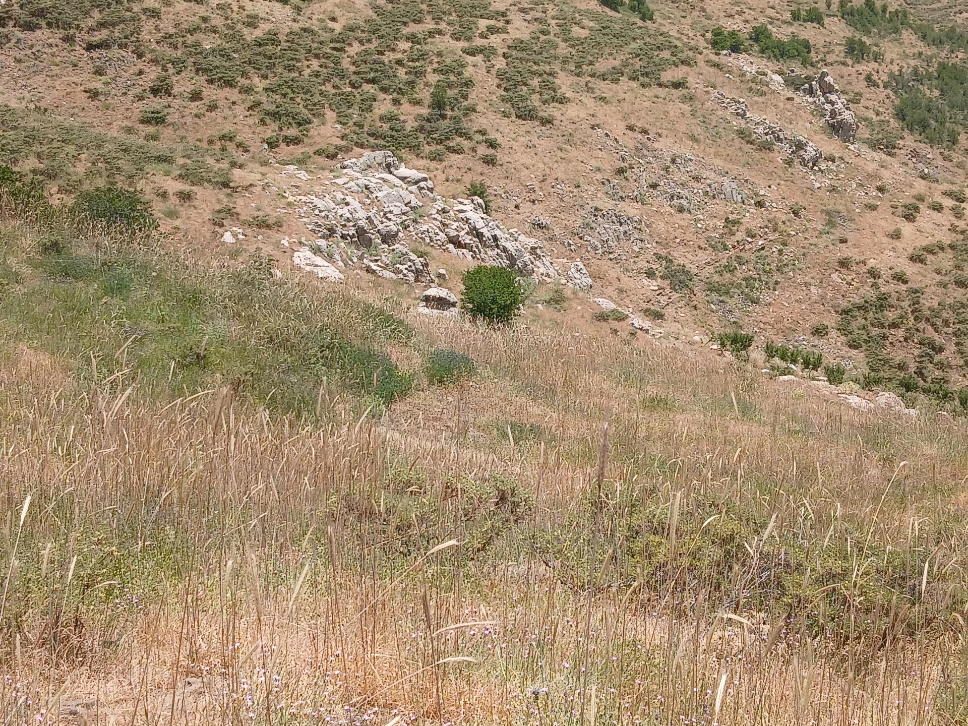 Land